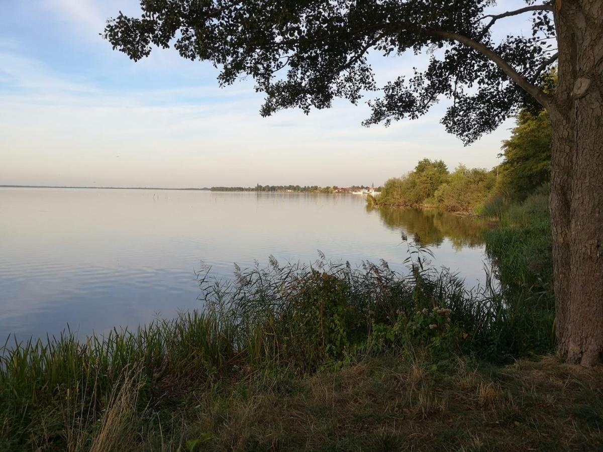 Ferienhaus Struckmann Am Steinhuder Meer Neustadt am Rübenberge Dış mekan fotoğraf